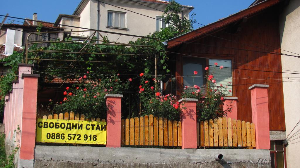 Guesthouse Elena Belogradchik Exterior photo