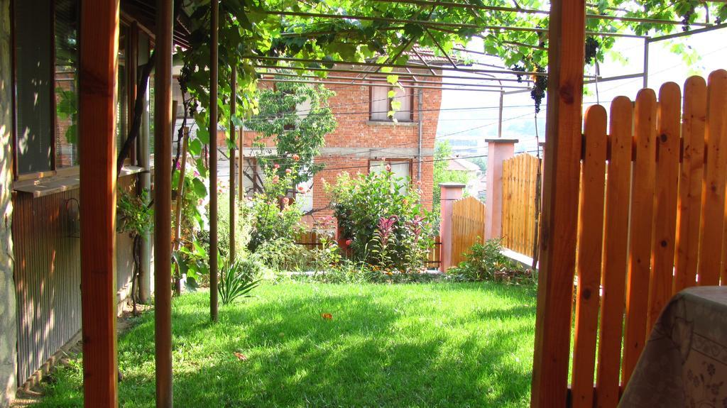 Guesthouse Elena Belogradchik Exterior photo